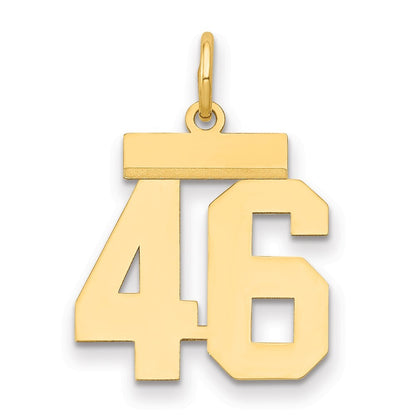 14k Yellow Gold Small Polished Number 46 Charm Pendant for Women