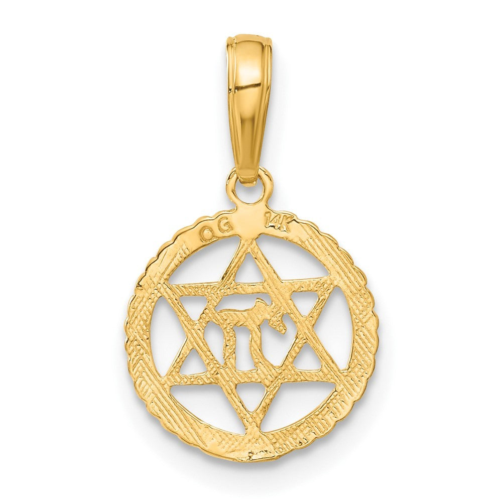 14k Yellow Gold Star of David and Chai in Circle Pendant