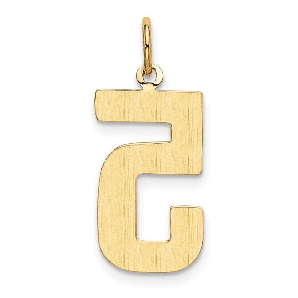 14k Yellow Gold Large Polished Number 5 Charm Pendant