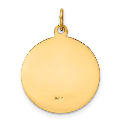 14k Yellow Gold Our Lady of Perpetual Help Medal Pendant for Women