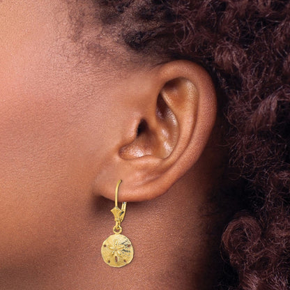 14k Yellow Gold Polished Sand Dollar Drop Dangle Earrings