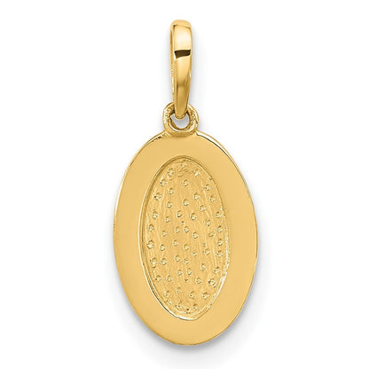 14k Yellow Gold Polished Oval with Rope Border Charm