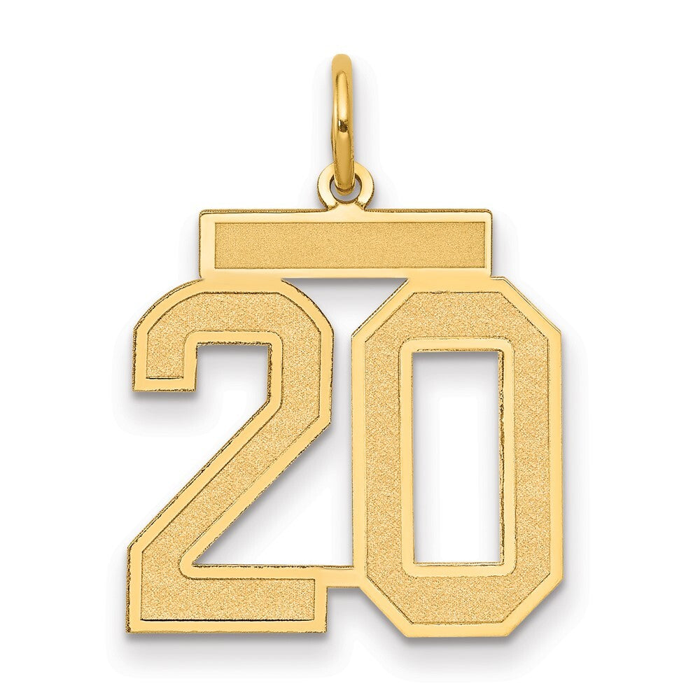 14k Yellow Gold Medium Satin Number 20 Charm Pendant for Women