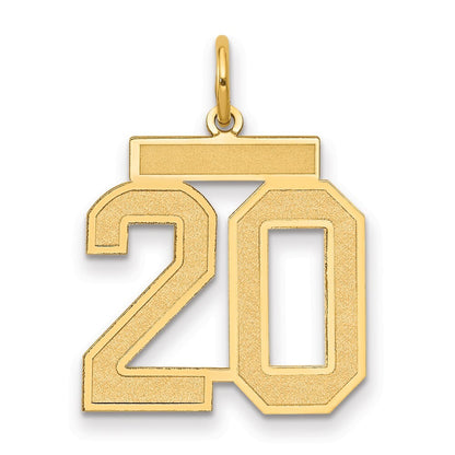 14k Yellow Gold Medium Satin Number 20 Charm Pendant for Women