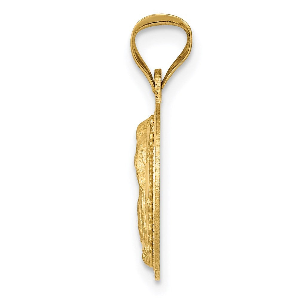 14k Yellow Gold Polished Diamond-Cut Lady Of Guadalupe Circle Pendant