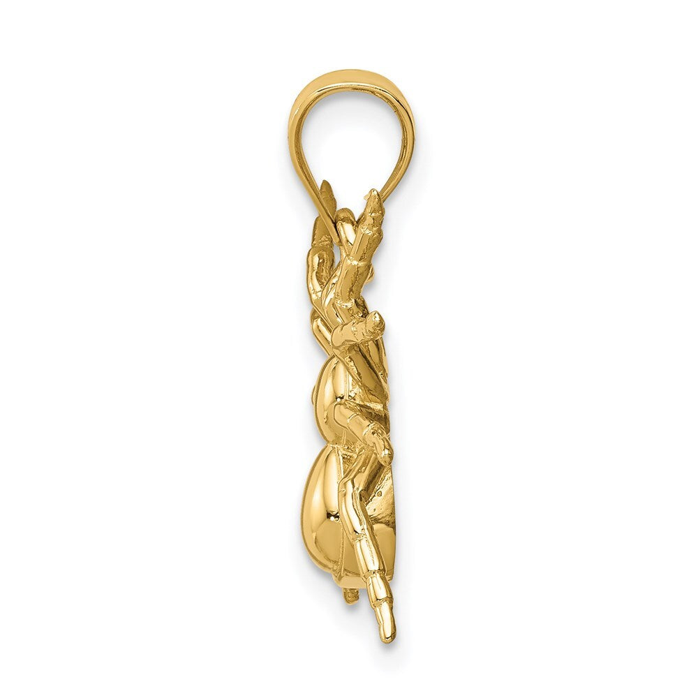 14k Yellow Gold Polished Spider Pendant for Women