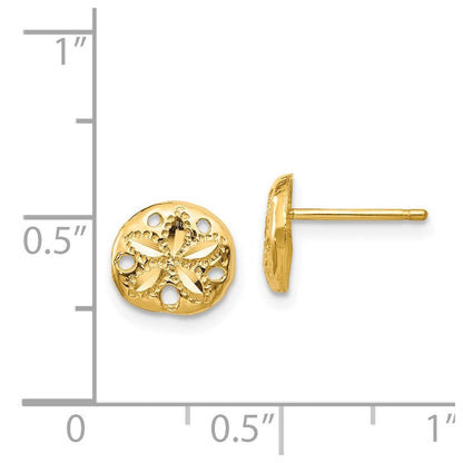 14k Yellow Gold Diamond-cut Sand Dollar Stud Earrings Gift for Women