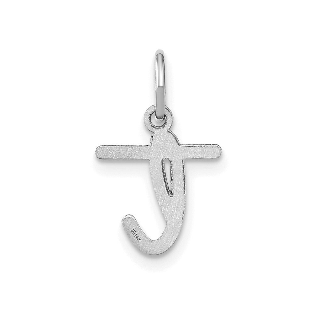 14k White Gold Lower case Letter T Initial Charm Pendant for Women