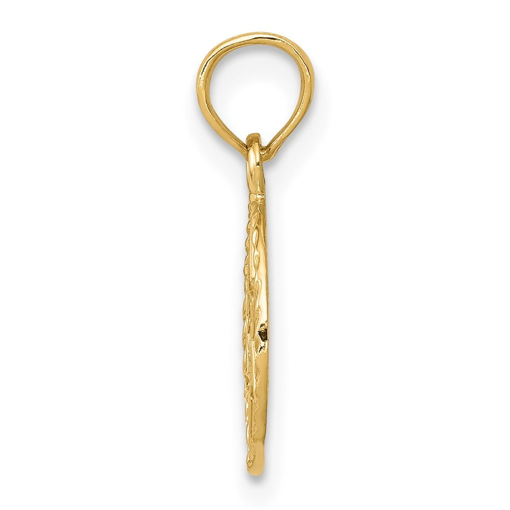 14k Yellow Gold Star of David in Circle Frame Pendant
