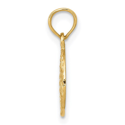 14k Yellow Gold Star of David in Circle Frame Pendant