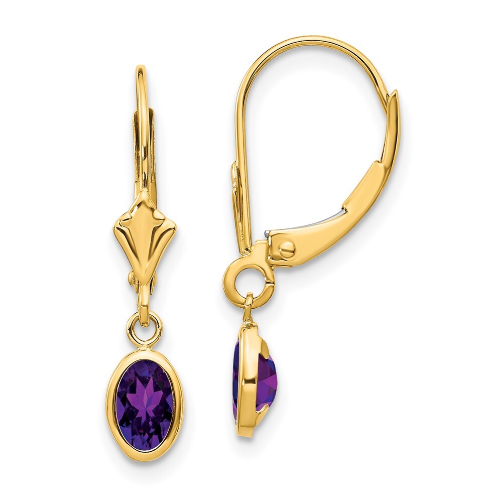 14k Yellow Gold 6x4mm February/Amethyst Stud Earrings Gift for Women