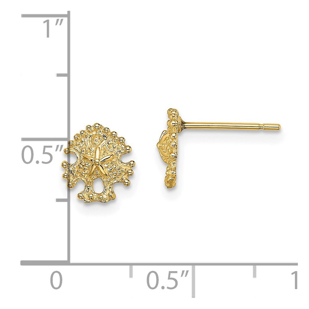 14k Yellow Gold Mini Sand Dollar Stud Earrings Gift for Women