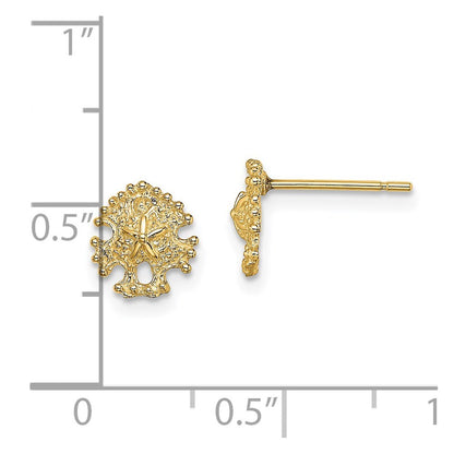 14k Yellow Gold Mini Sand Dollar Stud Earrings Gift for Women