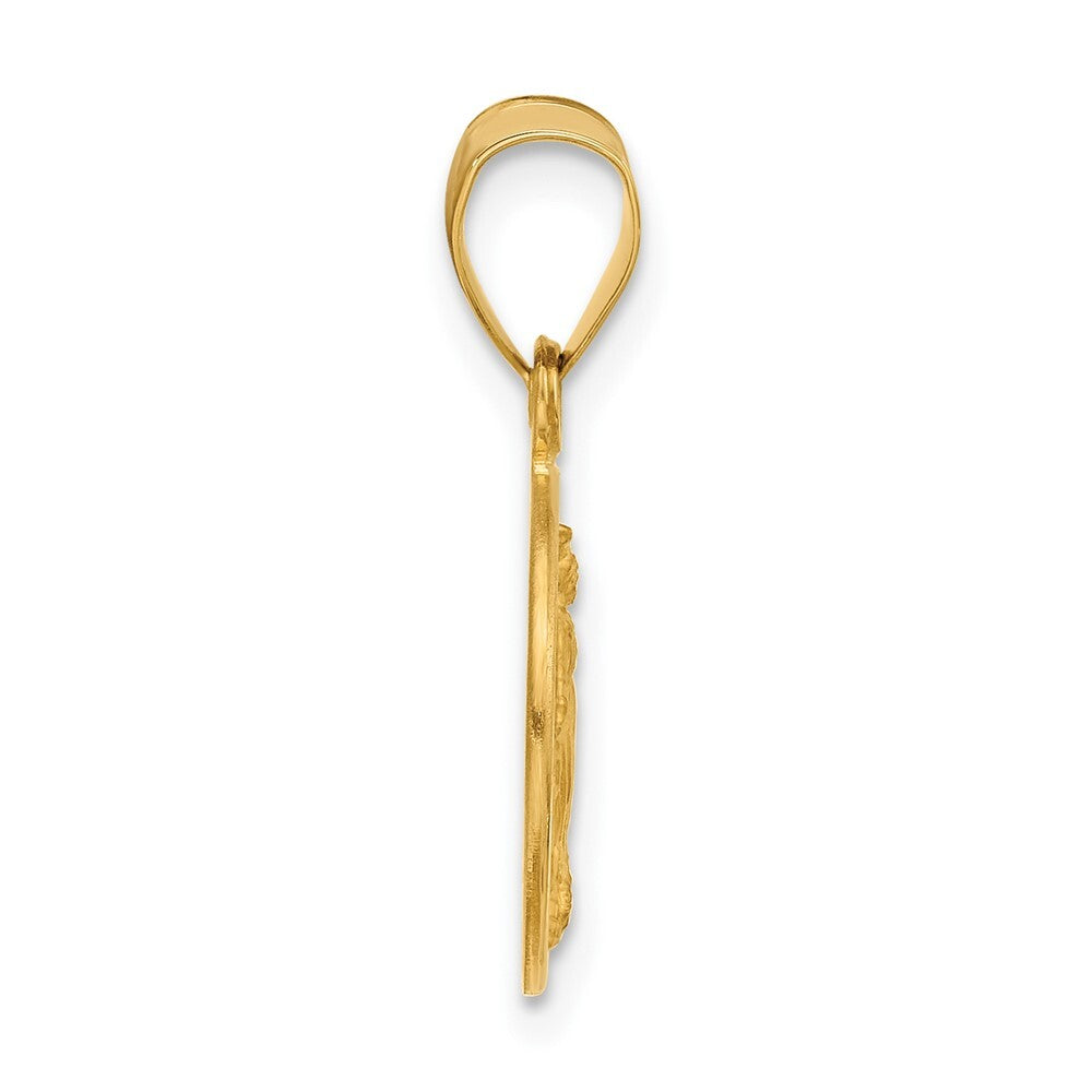 14k Yellow Gold Polished Satin Solid Miraculous Mary Plain Back Medal Pendant