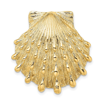 14k Yellow Gold Lion's Paw Shell Slide