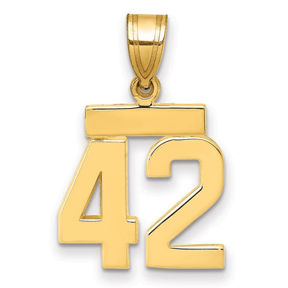 14k Yellow Gold Small Polished Number 42 Charm Pendant for Women