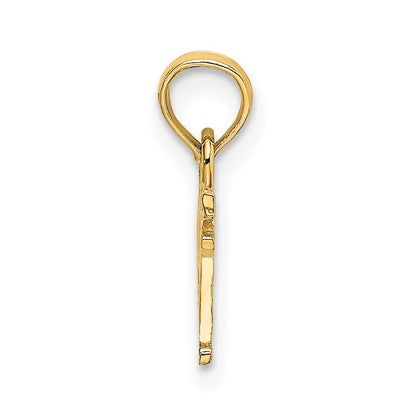 14k Yellow Gold PAPA Charm