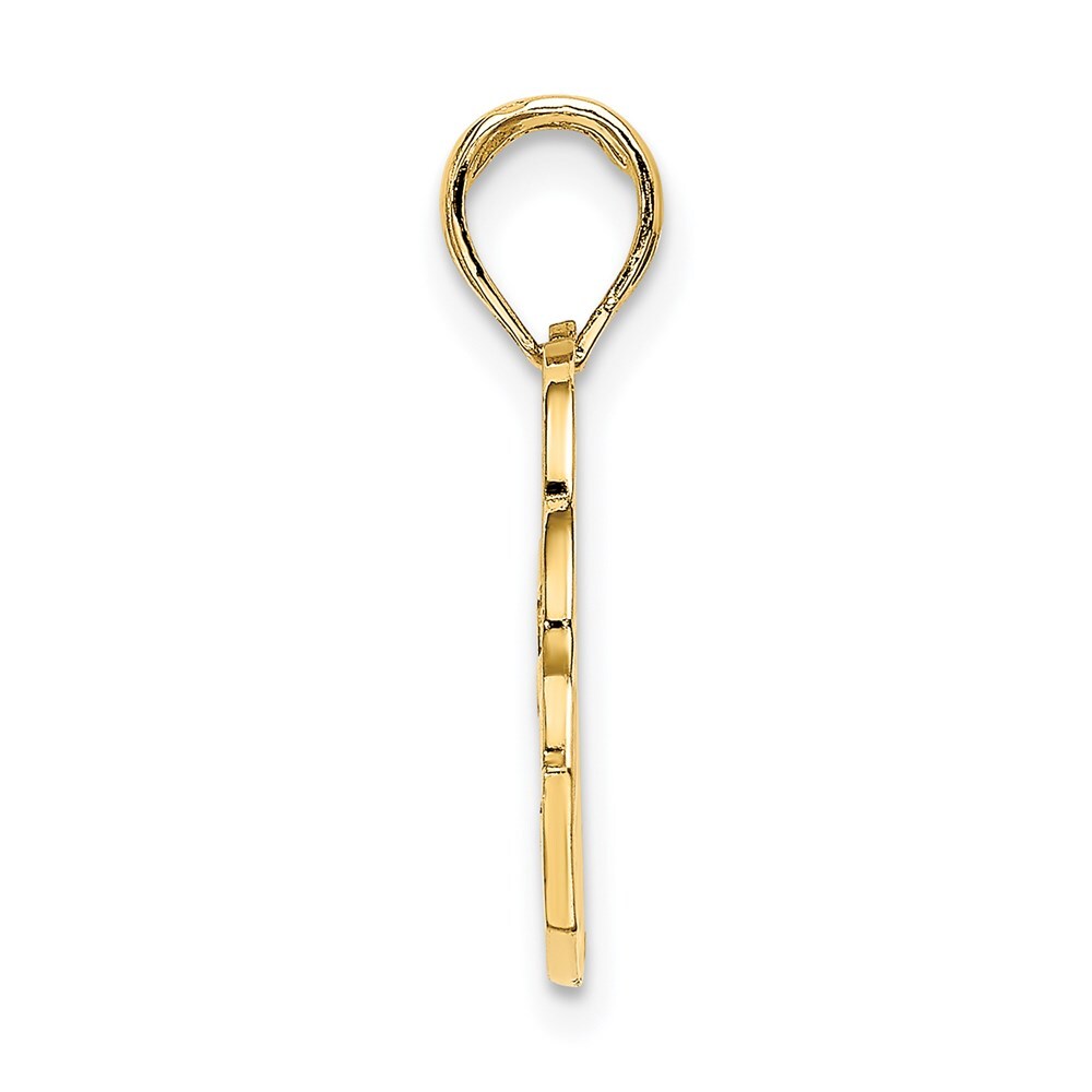 14k Yellow Gold SAN DIEGO Banner Dolphins Charm Pendant for Women