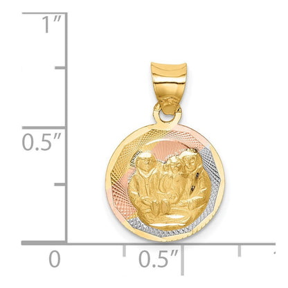 14k Yellow Gold w/Rose and White Rhodium Diamond-Cut  Baptism Pendant