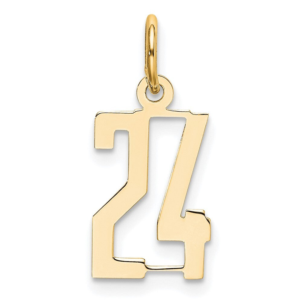 14k Yellow Gold Small Elongated Number 24 Charm Pendant for Women