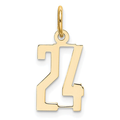 14k Yellow Gold Small Elongated Number 24 Charm Pendant for Women
