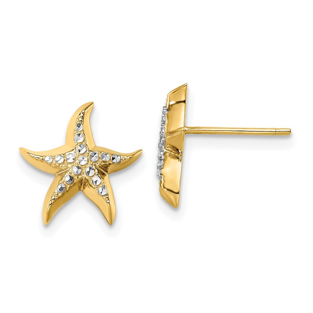 14k Yellow Gold w/Rhodium Starfish Earrings