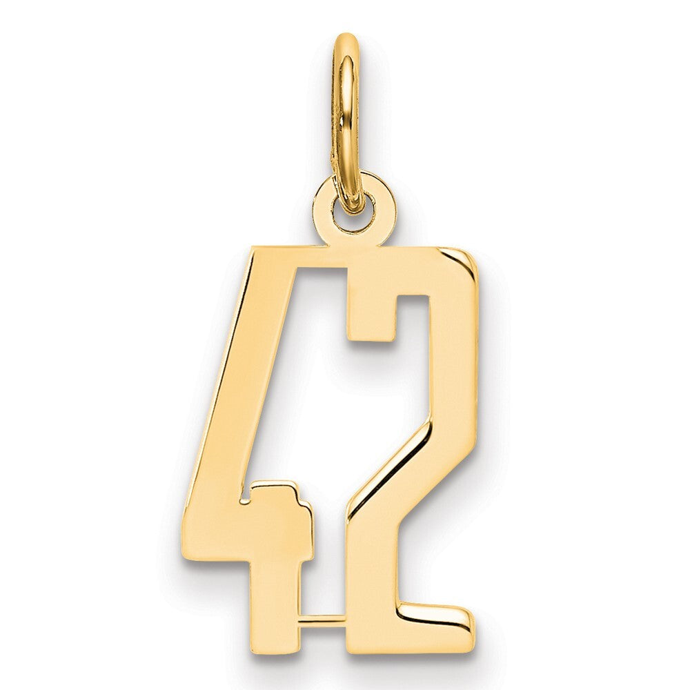 14k Yellow Gold Small Elongated Number 42 Charm Pendant for Women
