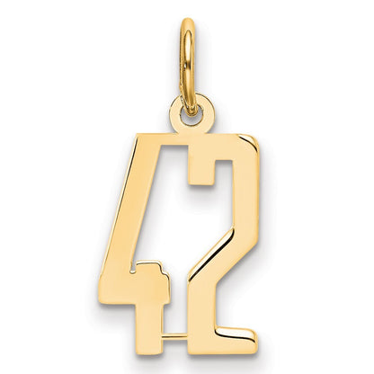 14k Yellow Gold Small Elongated Number 42 Charm Pendant for Women
