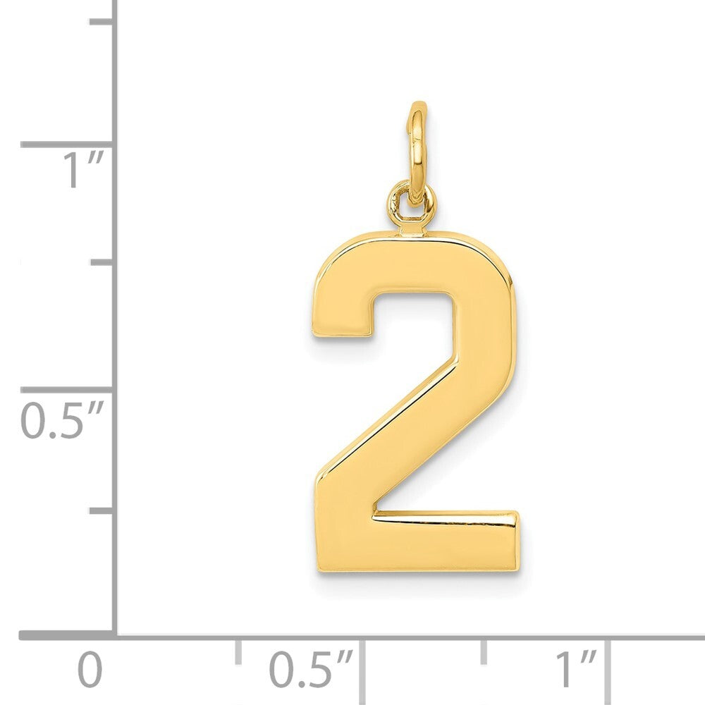 14k Yellow Gold Large Polished Number 2 Charm Pendant for Women