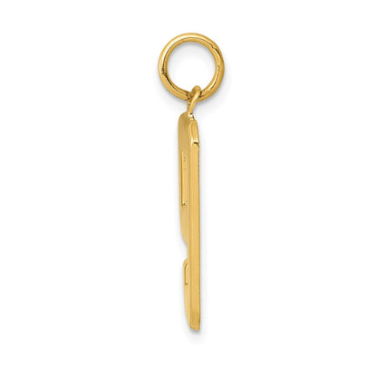 14k Yellow Gold Large Polished Number 9 Charm Pendant for Women