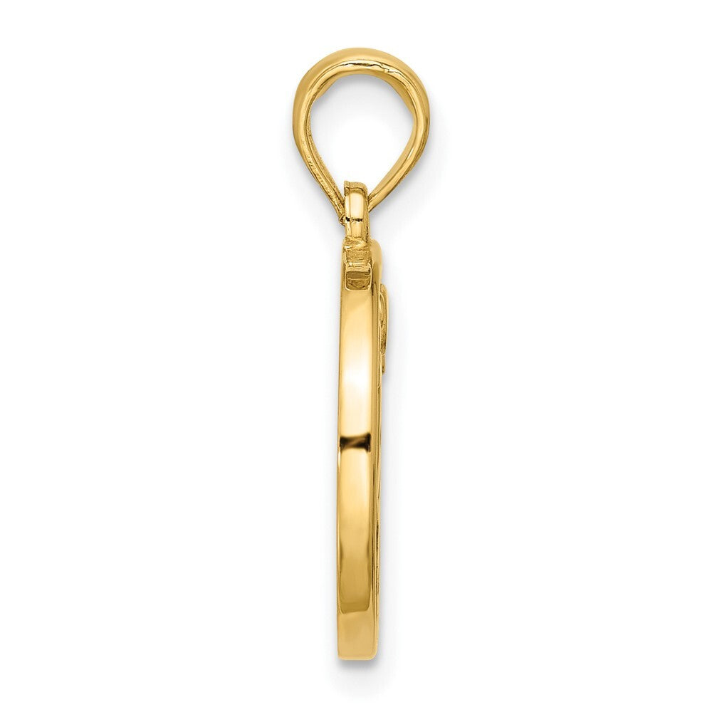 14k Yellow Gold Polished Round Aries Pendant for Women
