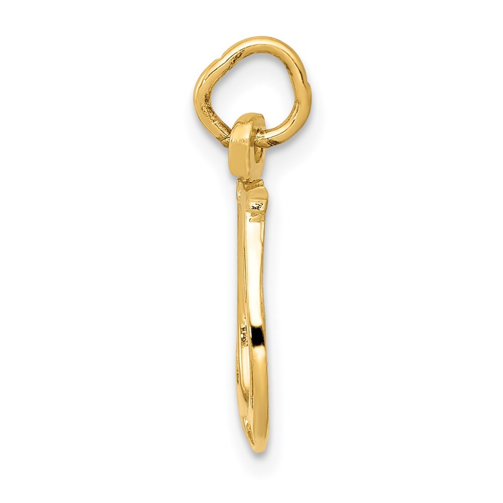 14k Yellow Gold Solid Polished Horseshoe Charm Pendant for Women