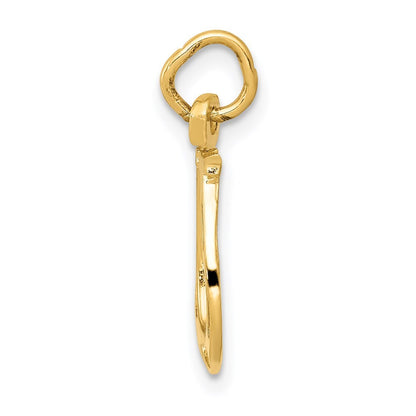 14k Yellow Gold Solid Polished Horseshoe Charm Pendant for Women