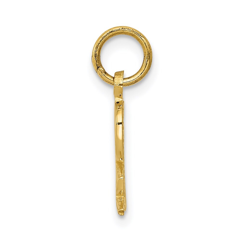 14k Yellow Gold Prescription Symbol RX Charm Pendant for Women