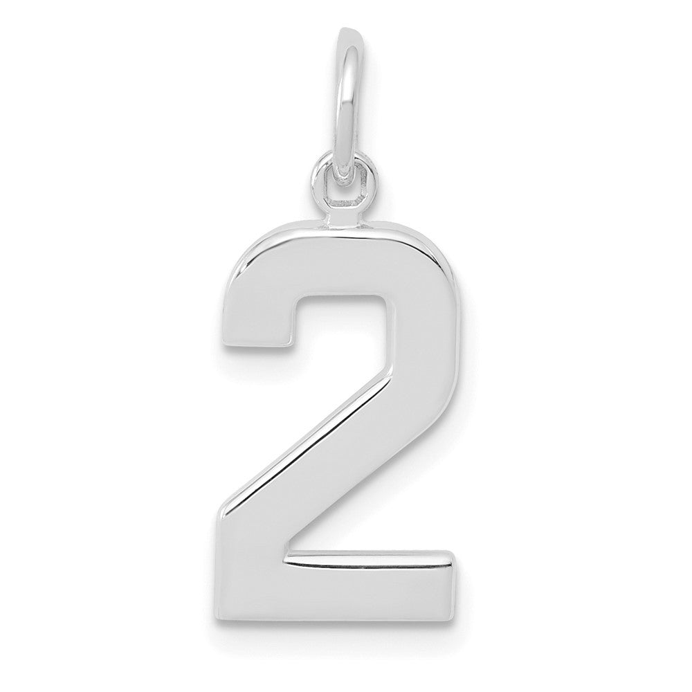 14K White Medium Polished Number 2 Charm