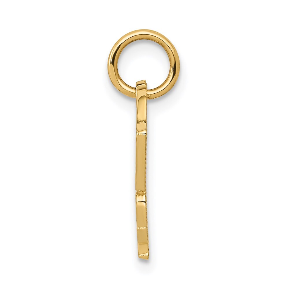 14k Yellow Gold Racing Flags SPEED FREAK Charm Pendant for Women