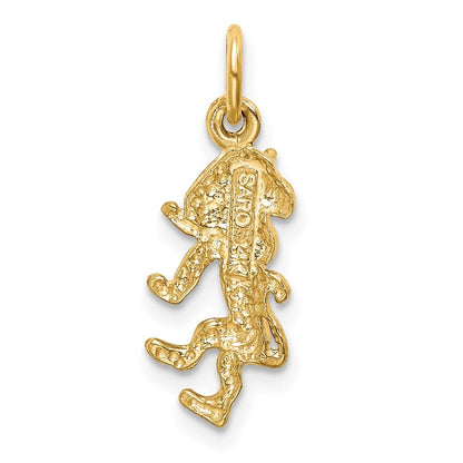 14k Yellow Gold Satin Diamond-cut Leo Zodiac Charm Pendant for Women