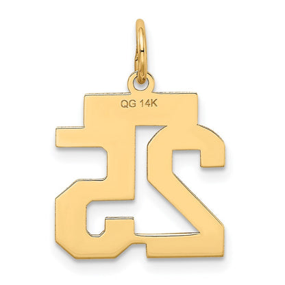 14k Yellow Gold Small Satin Number 25 Charm Pendant for Women