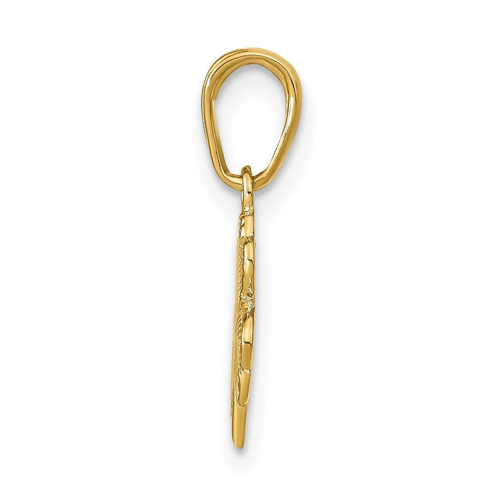 14k Yellow Gold Polished and Textured 4-Leaf Clover Pendant