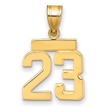 14k Yellow Gold Small Polished Number 23 Charm Pendant
