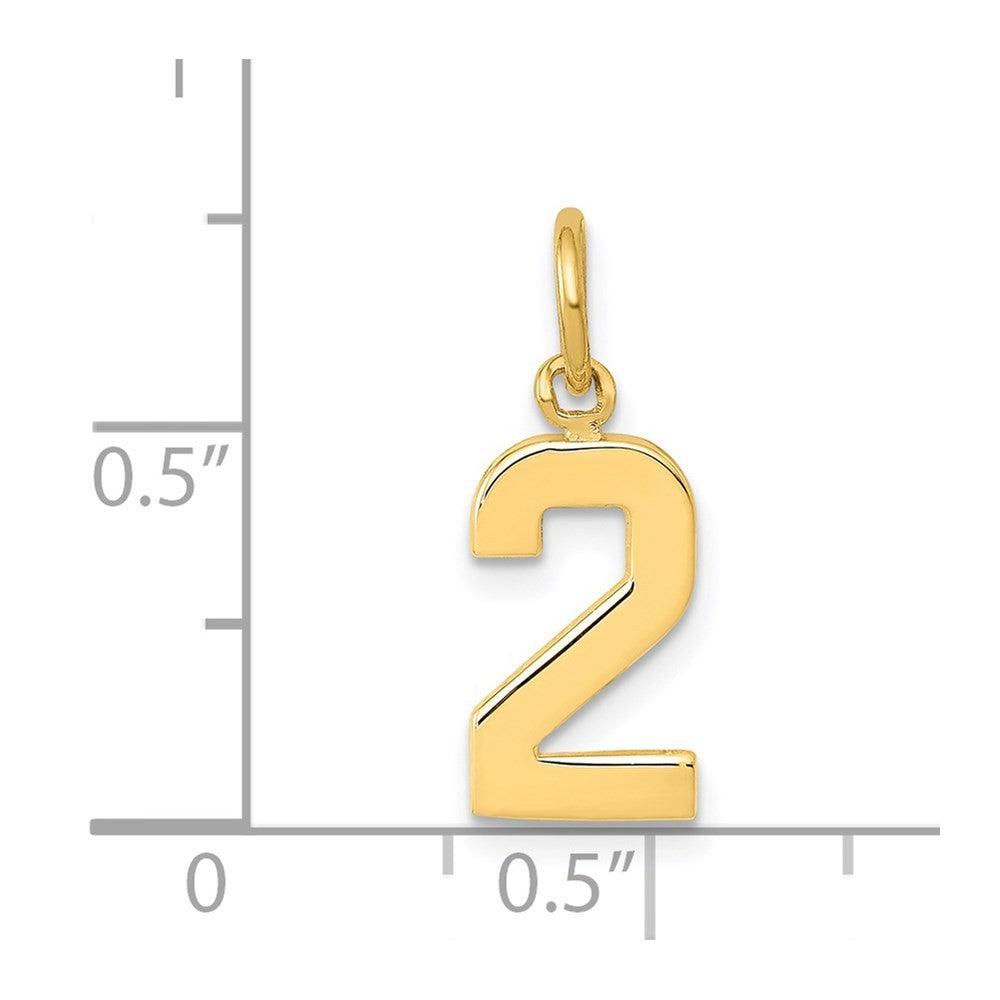 14k Yellow Gold Small Polished Number 2 Charm Pendant