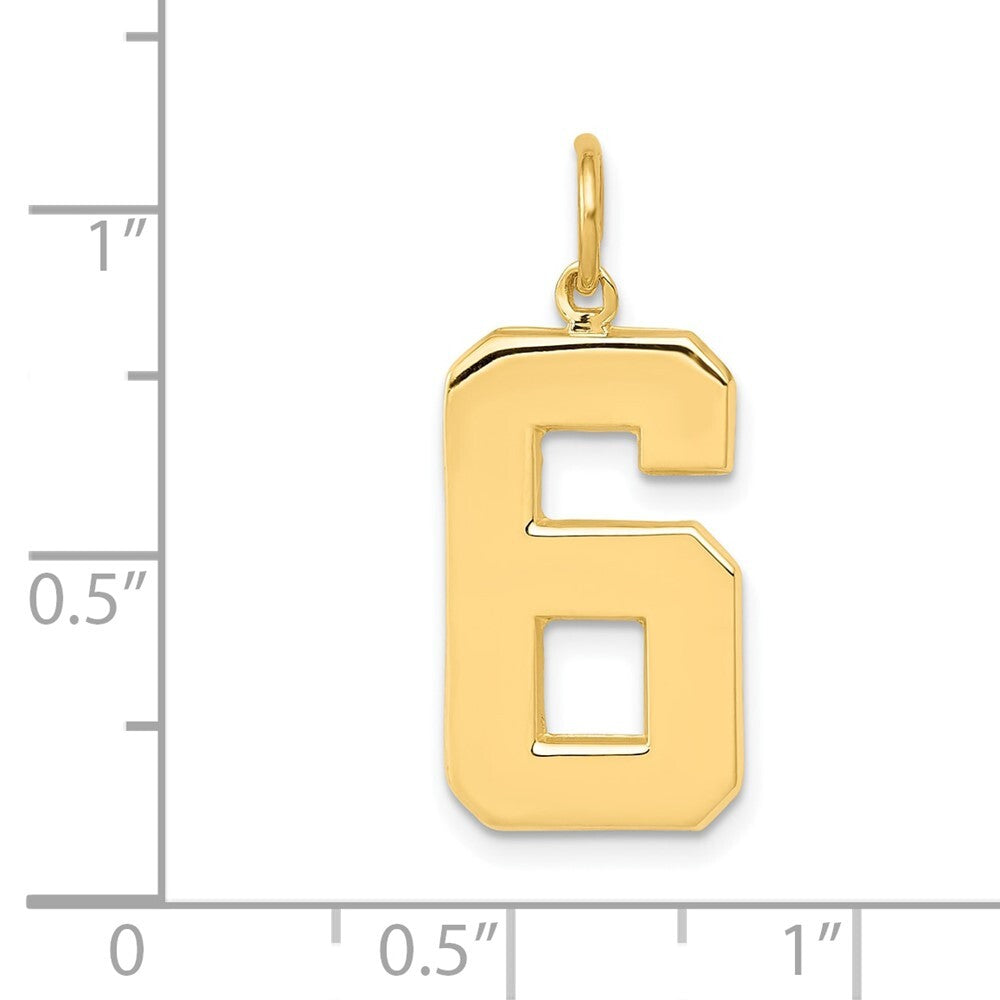 14k Yellow Gold Large Polished Number 6 Charm Pendant for Women