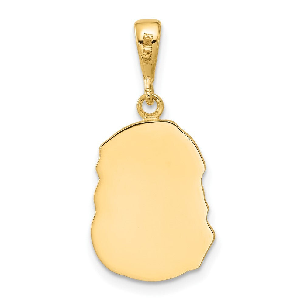 14k Yellow Gold Satin and Diamond-cut Jesus Medal Pendant