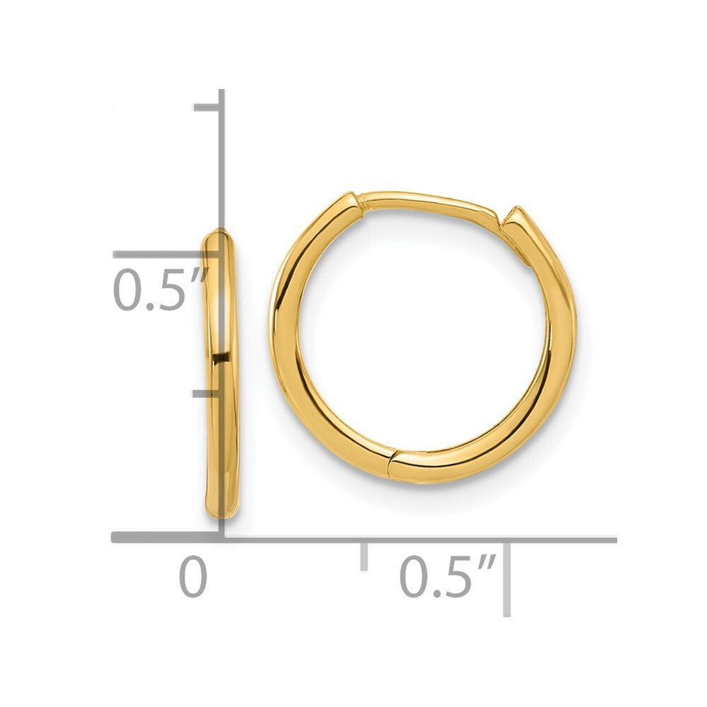 14k Yellow Gold Polished Hinged Hoop Earrings Gift for Women