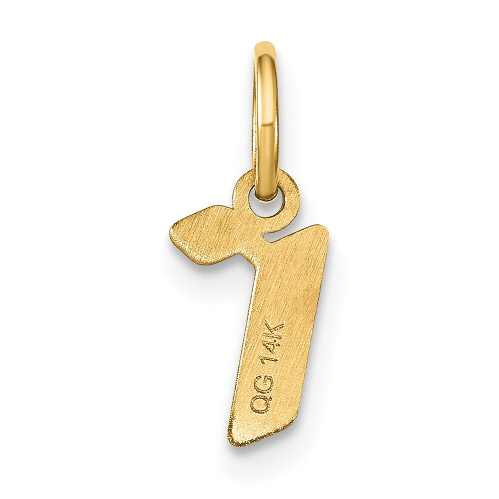 14k Yellow Gold Lowercase Letter R Initial Pendant for Women
