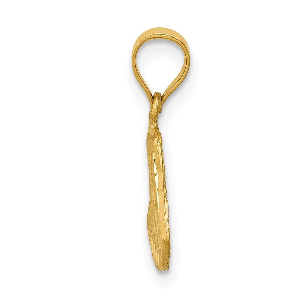 14k Yellow Gold Satin Diamond-Cut Mary Pendant