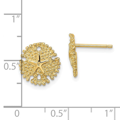 14k Yellow Gold Textured Sand Dollar Stud Earrings Gift for Women