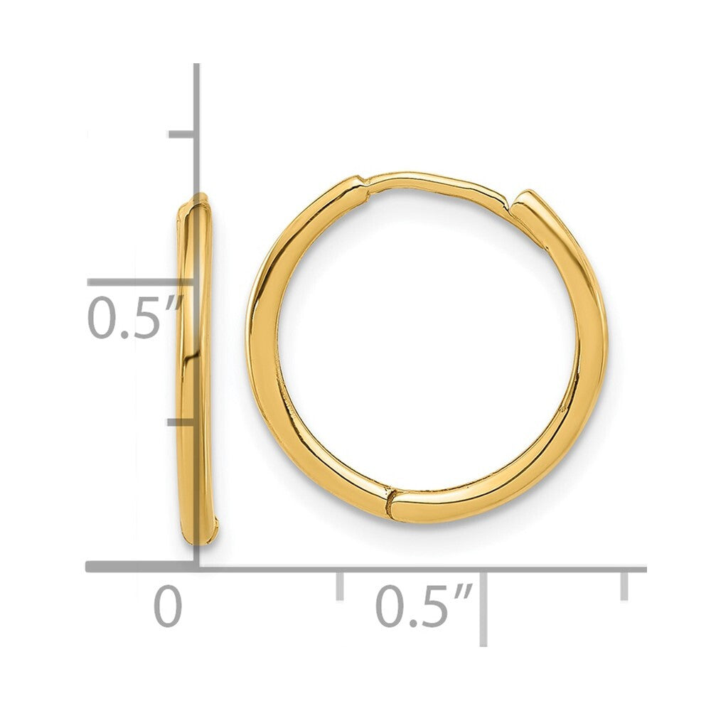 14k Yellow Gold Polished Hinged Hoop Earrings Gift for Women