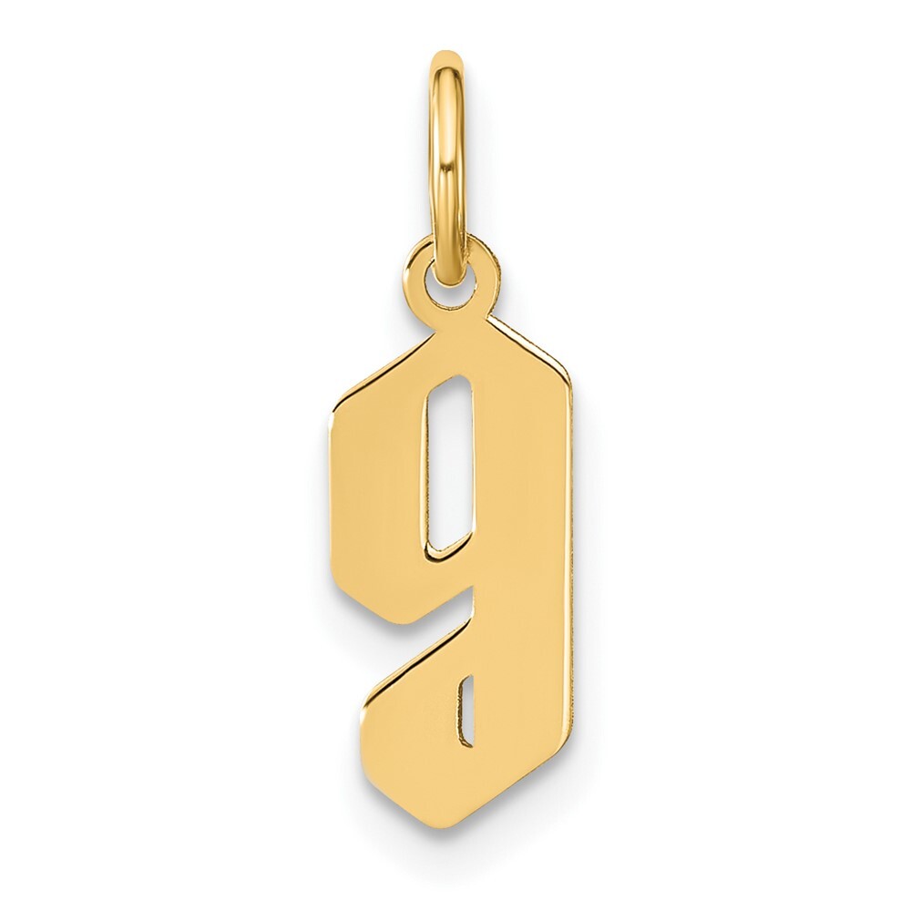 14k Yellow Gold Lowercase Letter G Initial Pendant for Women