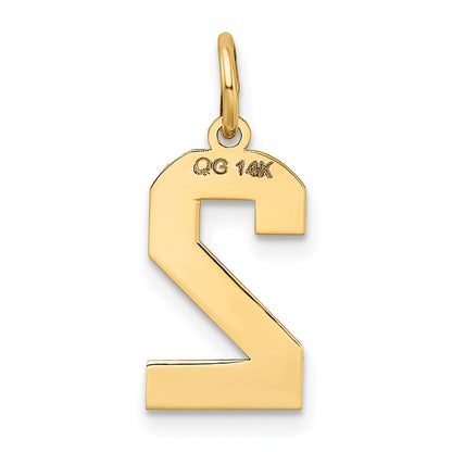 14k Yellow Gold Medium Satin Number 2 Charm